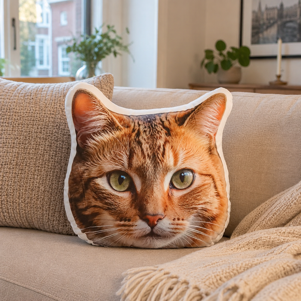 Koseportrett 3D-pute formet som en katt i sofaen